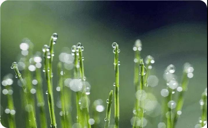 春為(wèi)一(yī)年(nián)之首，調理(lǐ)至關重要(yào)！春季消瘤不(bù)開(kāi)玩(wán)笑(xiào)！