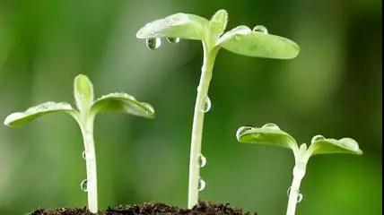 春夏之交情緒變化(huà)大(dà)，<a href=demo2.html target=_blank class=infotextkey>加博士</a>提醒大(dà)家(jiā)小(xiǎo)心&ldquo;五月(yuè)病&rdquo;