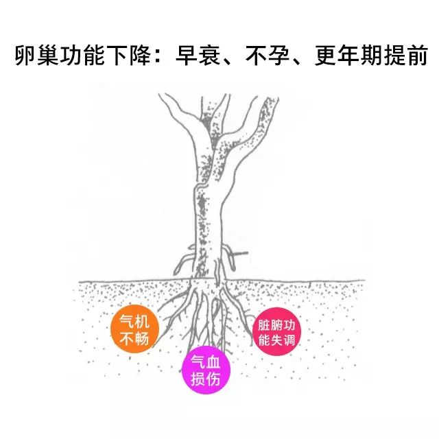 早衰!不(bù)孕!更年(nián)期提前! 卵巢囊腫手術(shù)對(duì)卵巢功能(néng)影(yǐng)響多(duō)多(duō)2.jpg